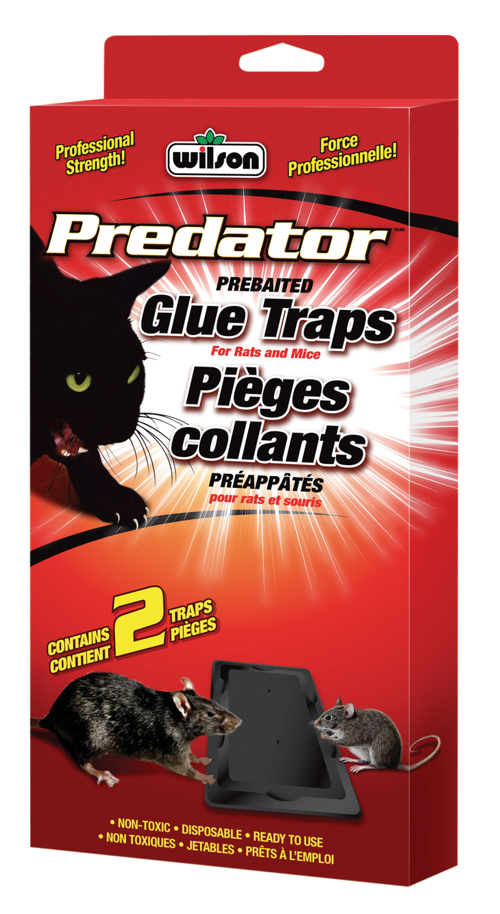 7740220 Wilson Predator Rat Glue Traps Hi Res EF