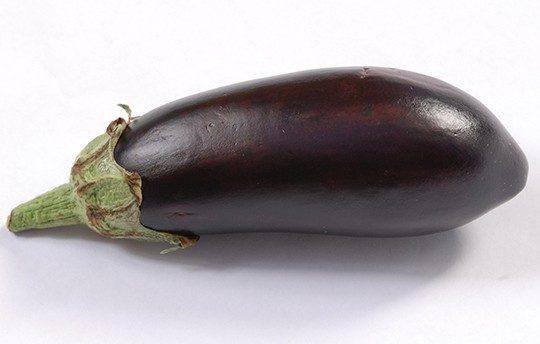 Photo 2 Solanum melongena 'Morden Midget'