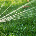 Best Tips For Overseeding Your Lawn by Owen Reeves