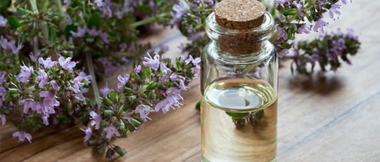 Essential oils aromatherapy