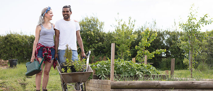 home and gardening