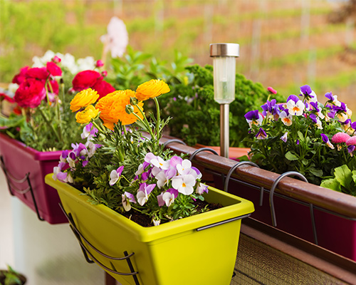 Balcony Garden Box