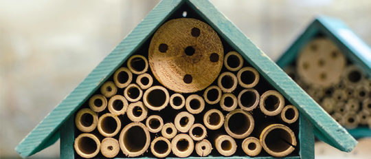 Hôtel pour les abeilles