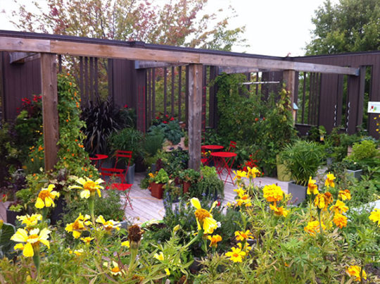 This rooftop was turned into a container garden