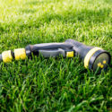 10 Common Lawn and Garden Woes of Summer