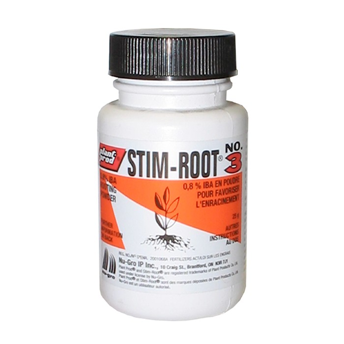 6843150_Stim-Root3
