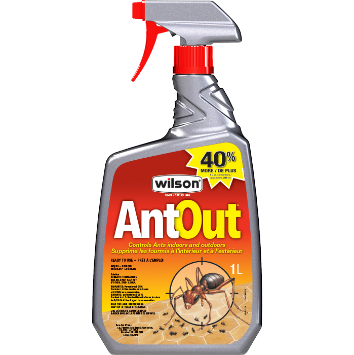 antOut