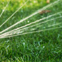 Best Tips For Overseeding Your Lawn by Owen Reeves
