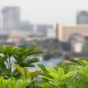 Tips For Growing Vegetables On Your Roof by Albert Mondor